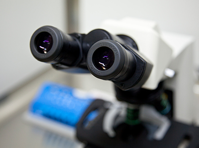 卵胞漿內(nèi)單精子(zǐ)顯微(wēi)注射