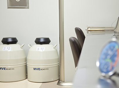 胚胎冷(lěng)凍保存技(jì)術(shù)