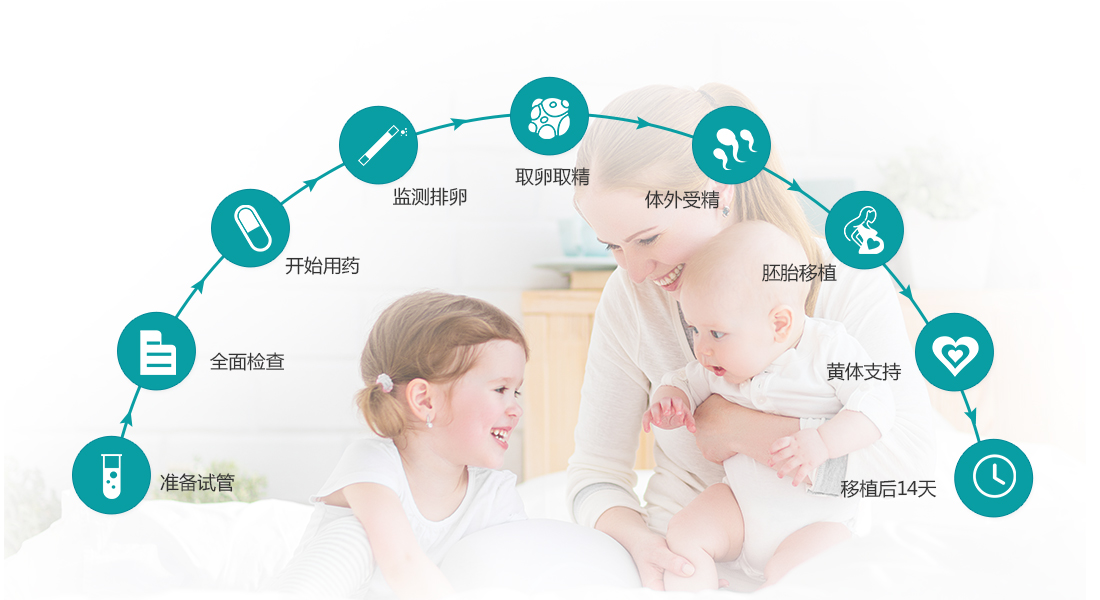 試管嬰兒(ér)助孕流程